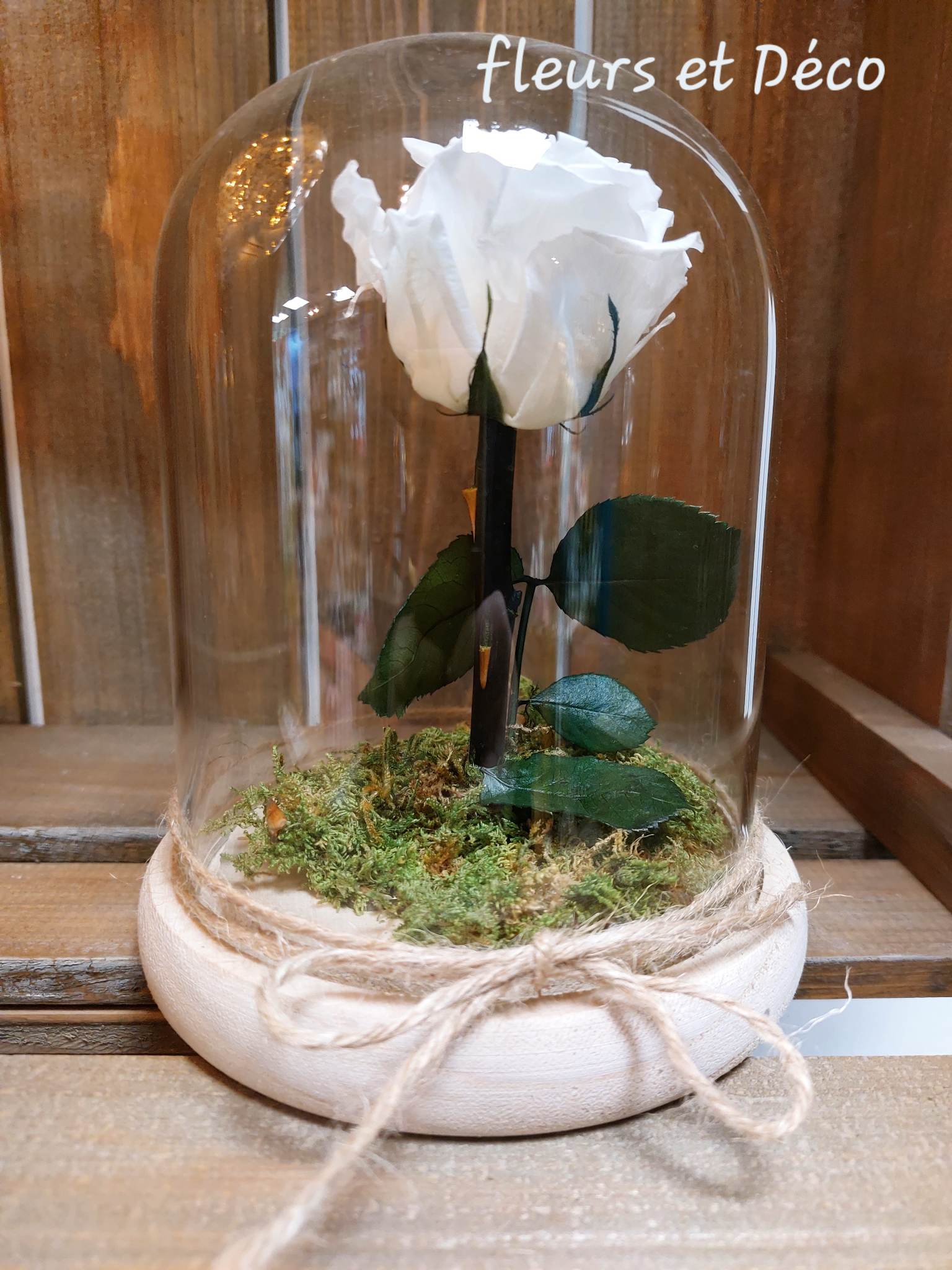 Rose éternelle blanche avec tige sous cloche Diam14 | Fleurs et Déco